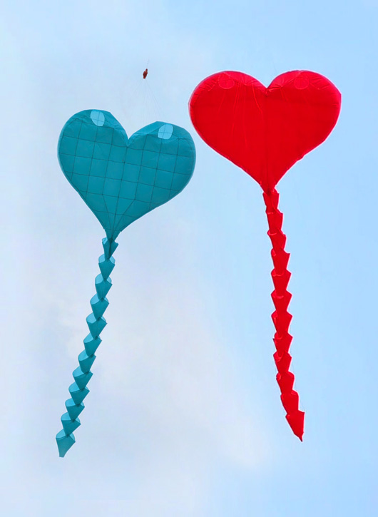 .:::Thế Giới Diều:::.Diều Độc - Đẹp - Lạ