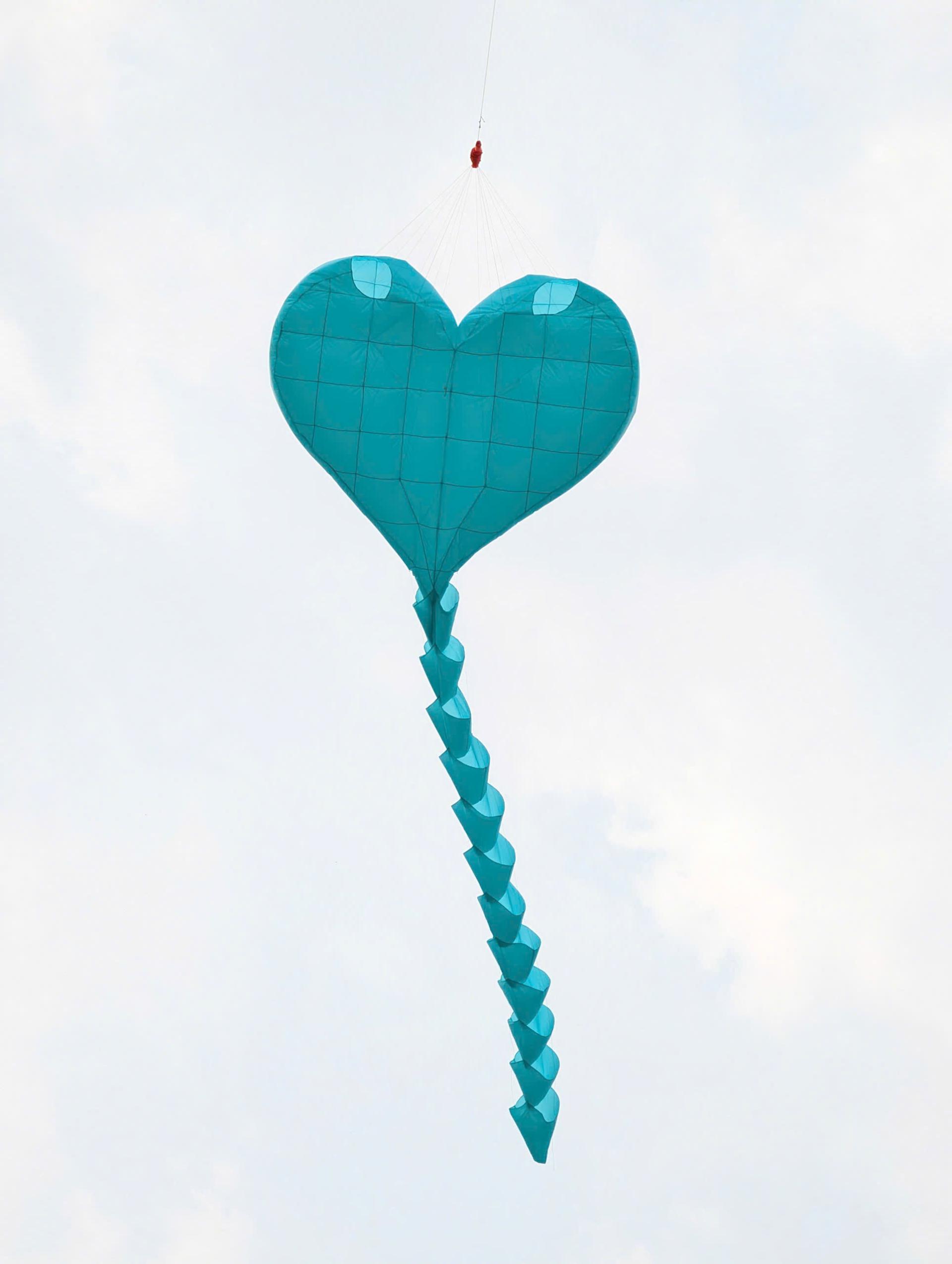 .:::Thế Giới Diều:::.Diều Độc - Đẹp - Lạ