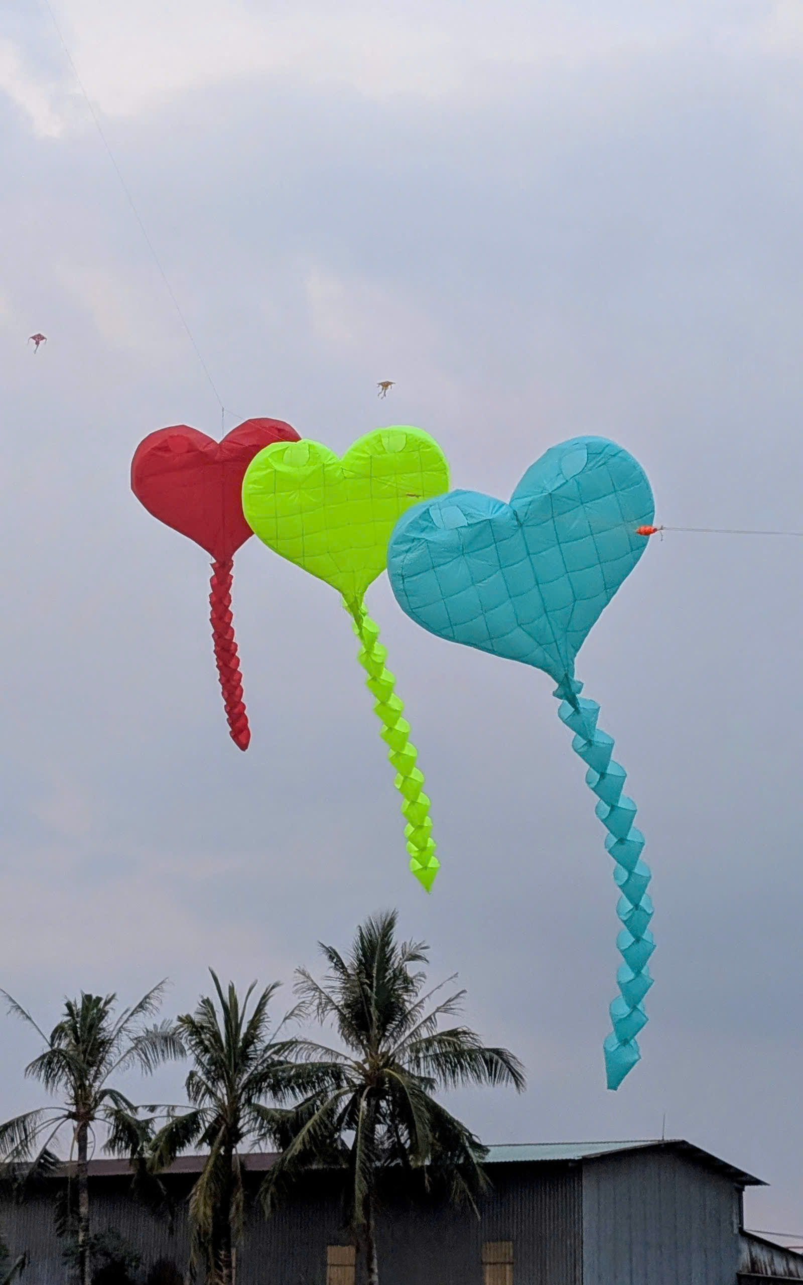 .:::Thế Giới Diều:::.Diều Độc - Đẹp - Lạ