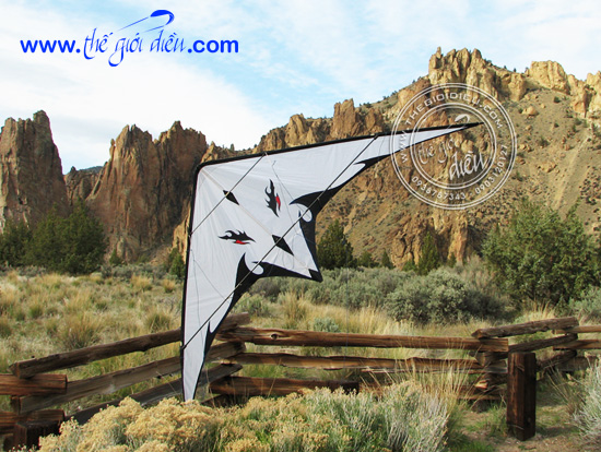 .:::Thế Giới Diều:::.Diều Độc - Đẹp - Lạ