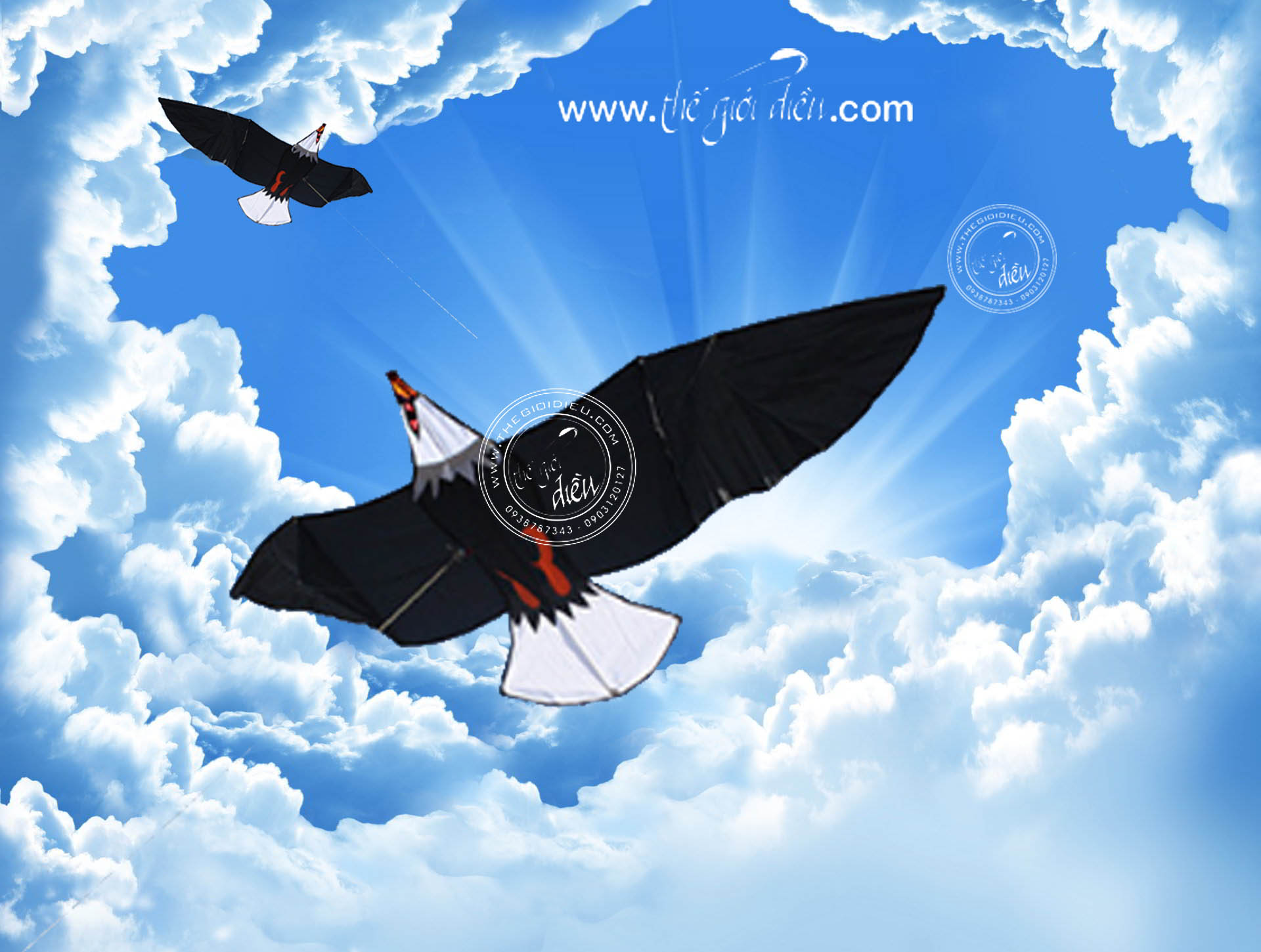 .:::Thế Giới Diều:::.Diều Độc - Đẹp - Lạ
