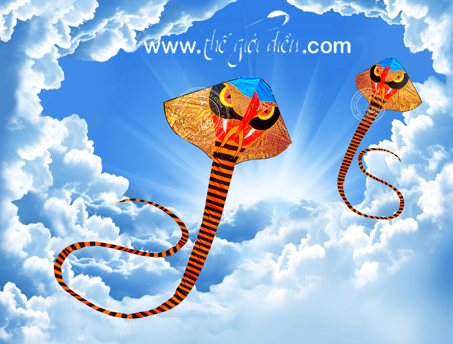 .:::Thế Giới Diều:::.Diều Độc - Đẹp - Lạ