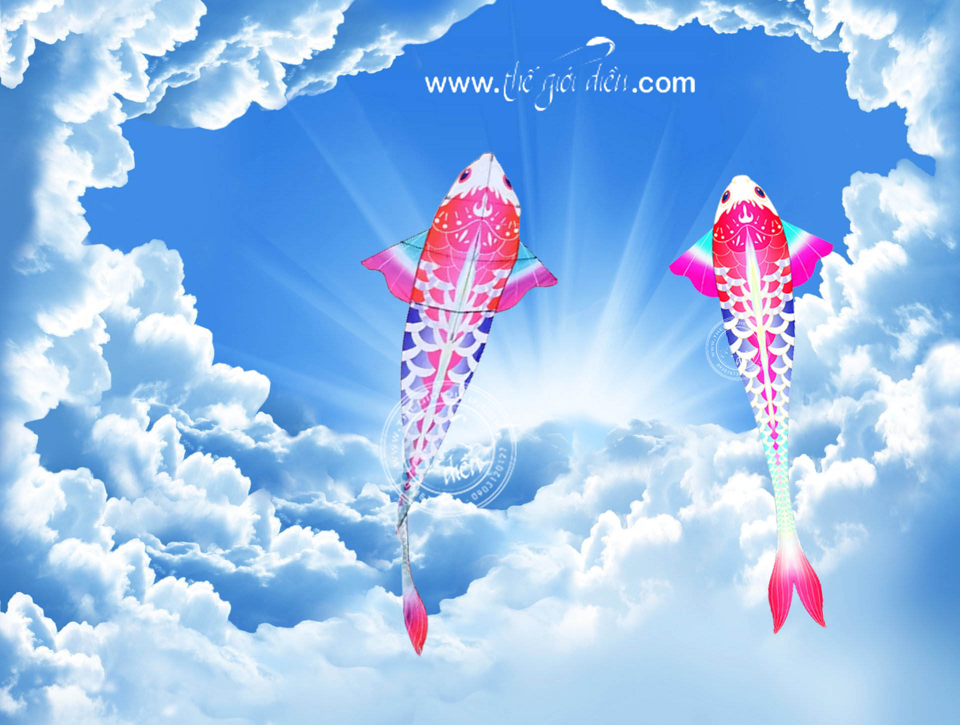 .:::Thế Giới Diều:::.Diều Độc - Đẹp - Lạ