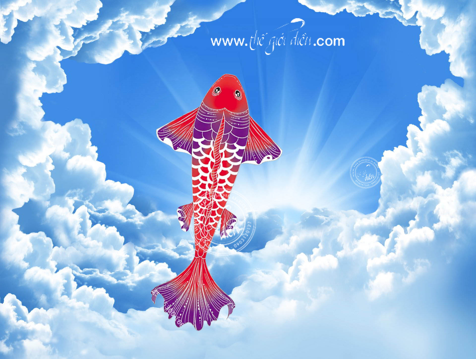 .:::Thế Giới Diều:::.Diều Độc - Đẹp - Lạ